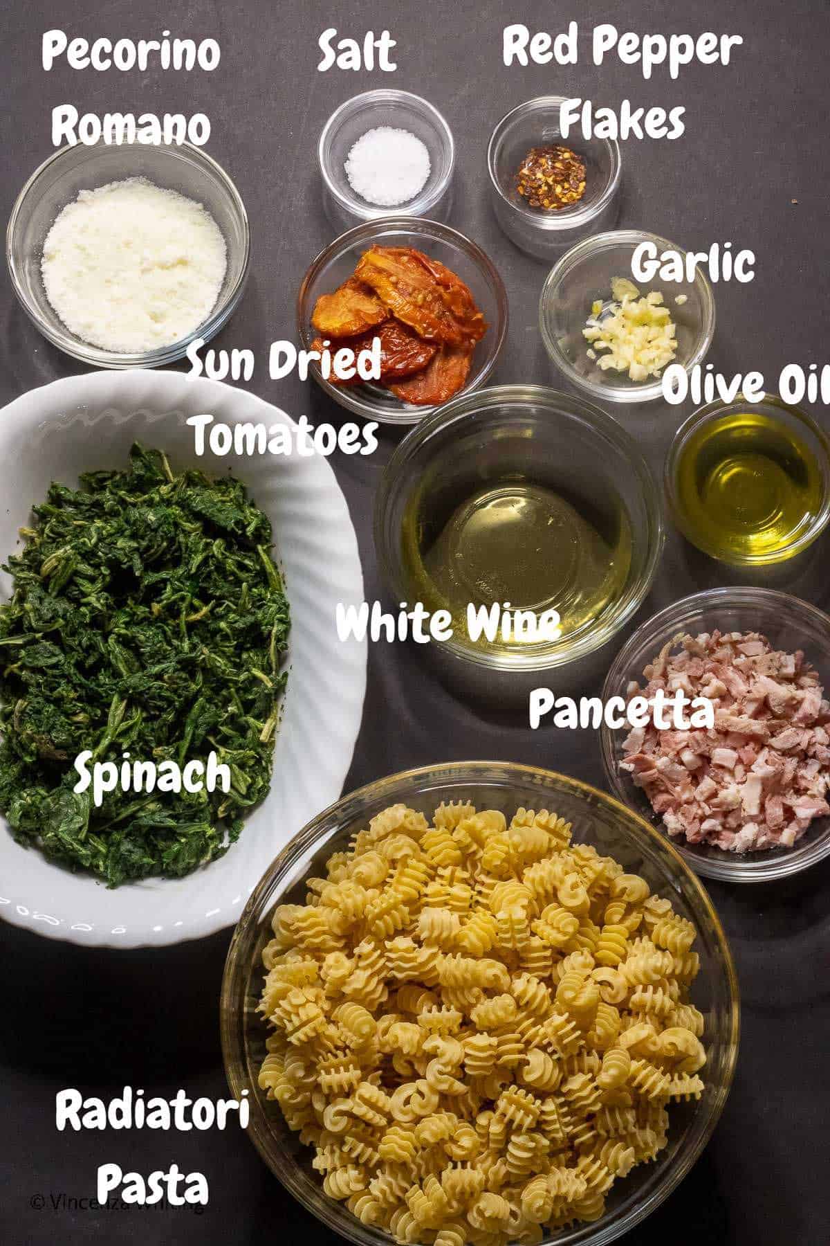 Radiatori Pasta with Spinach and SunDried Tomatoes