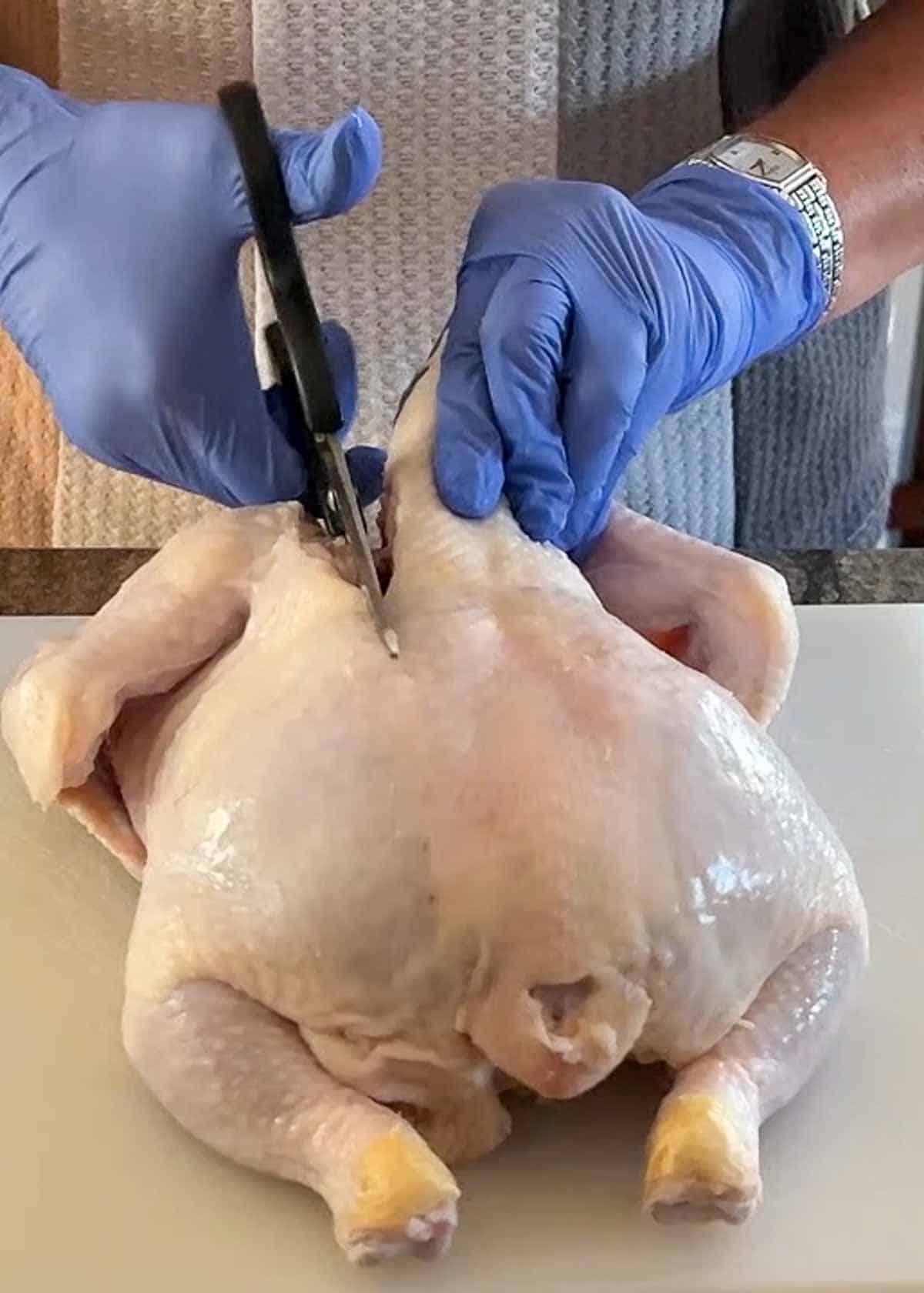 Someone is cutting a the backbone of a whole chicken that is breast side down on a cutting board.
