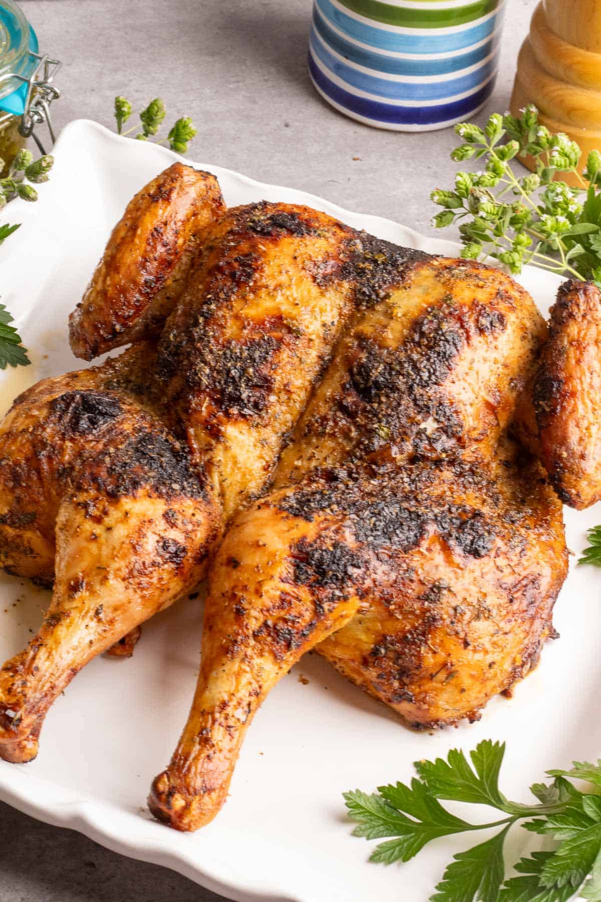 A grilled spatchcocked chicken on a whiate plate with lemons and parsley.